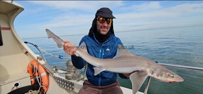 10 lb 2 oz Starry Smooth-hound by Dave