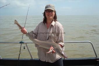 11 lb 8 oz Smooth-hound (Common) by julia