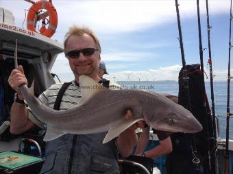 13 lb 14 oz Starry Smooth-hound by Chris Neden