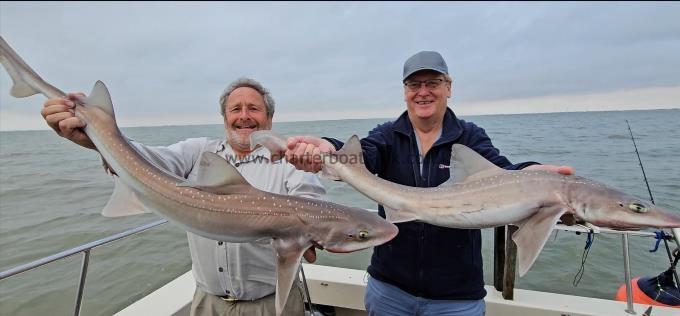 10 lb 7 oz Starry Smooth-hound by Mick