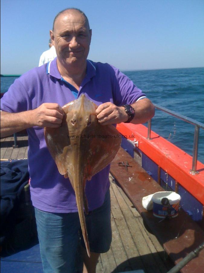 3 lb 8 oz Small-Eyed Ray by Poole visitor Jason Sheridan