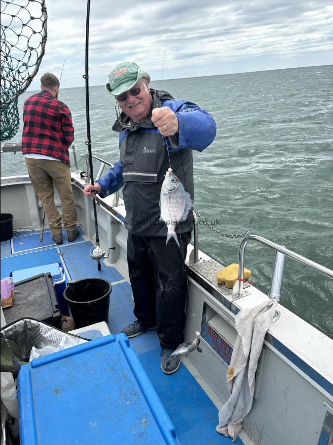 1 lb Black Sea Bream by Phil