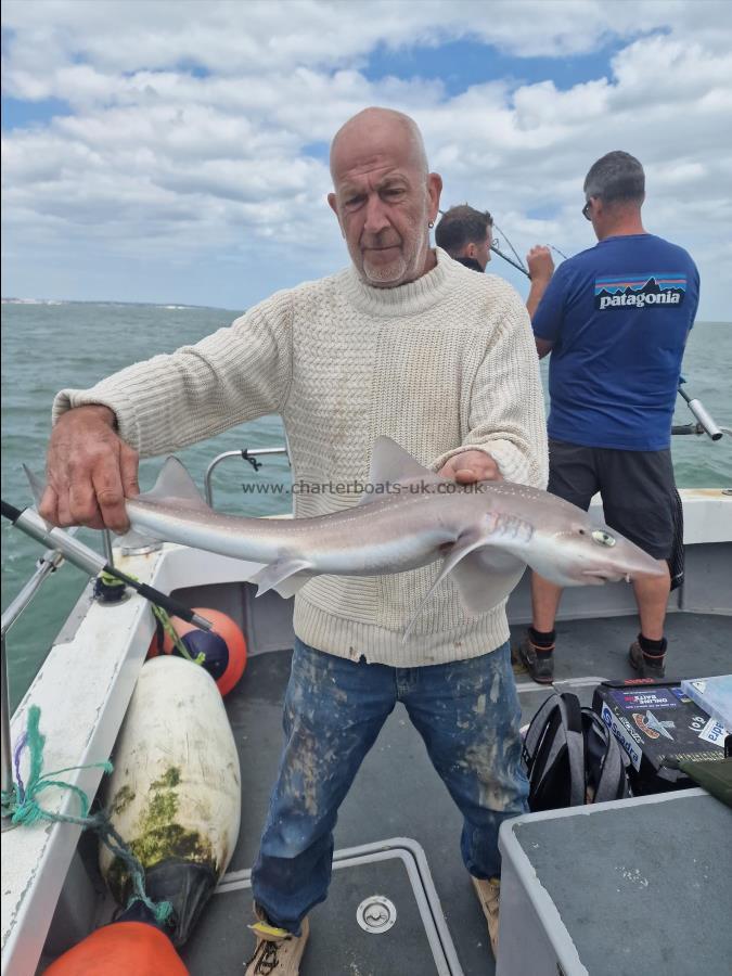 6 lb Conger Eel by Dale