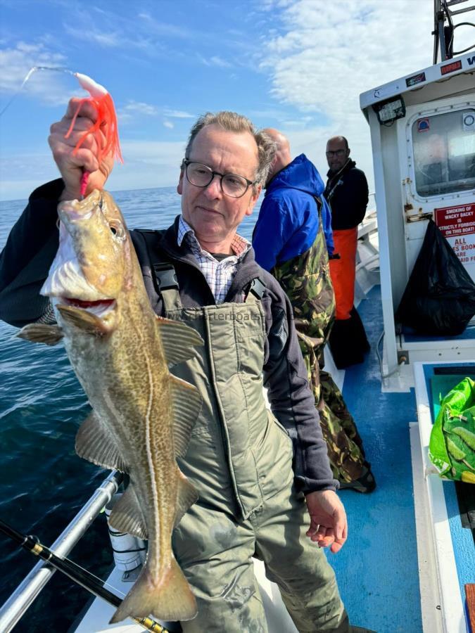 4 lb 7 oz Cod by Dave.