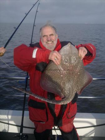 11 lb 12 oz Thornback Ray by arthur