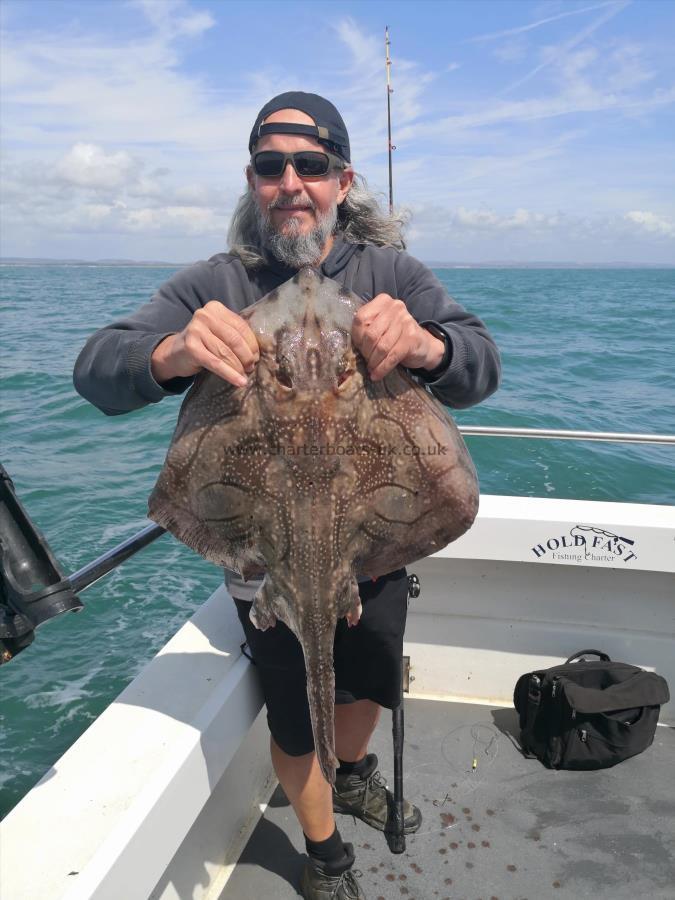 9 lb Undulate Ray by Unknown