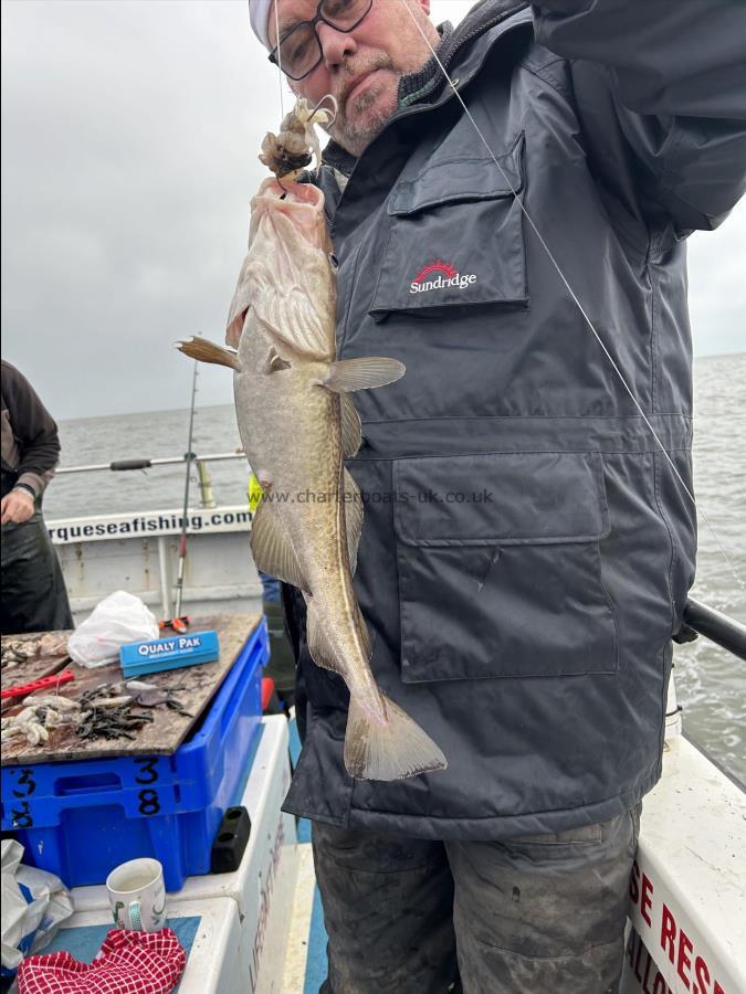 4 lb Cod by Lawrence.