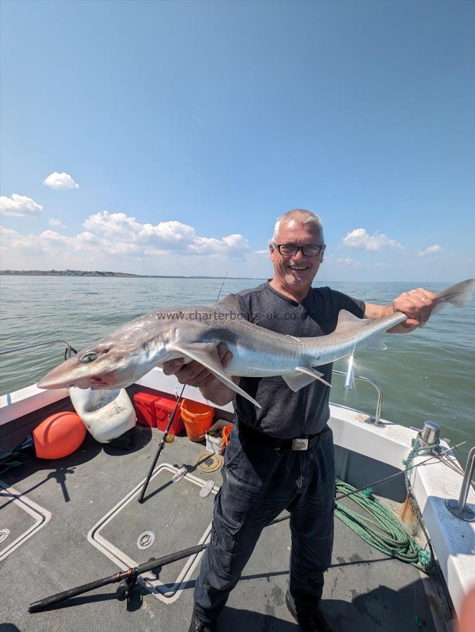 12 lb Starry Smooth-hound by Chris