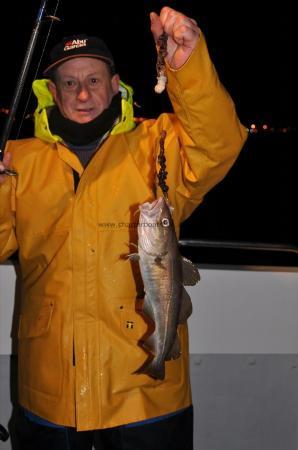 2 lb 3 oz Cod by Unknown