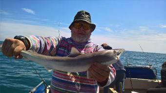 7 lb Smooth-hound (Common) by Stephen Wake