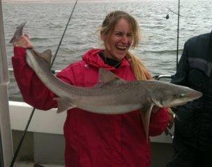 12 lb Starry Smooth-hound by Anthony Parry