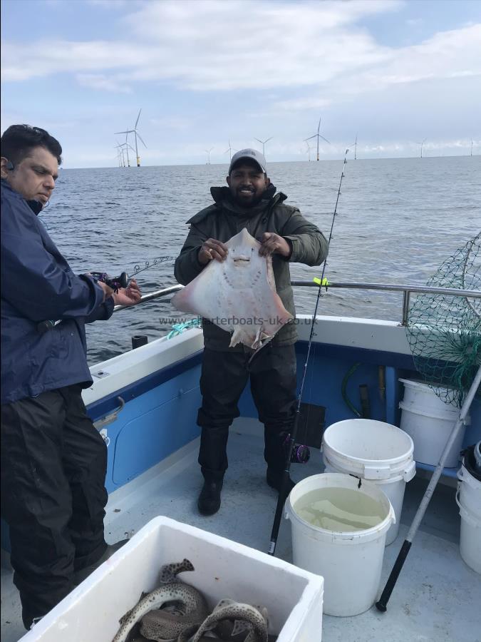 6 lb Thornback Ray by Unknown