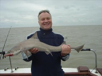 9 lb 12 oz Starry Smooth-hound by Steve