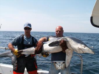 160 lb Blue Shark by Colin Thornley