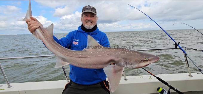 16 lb 8 oz Starry Smooth-hound by Steve