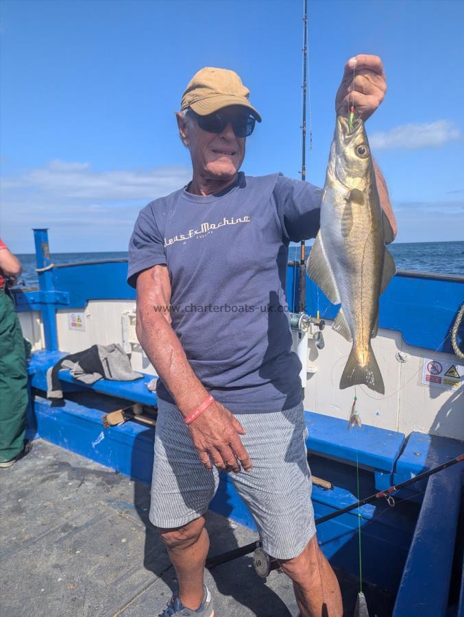 2 lb 8 oz Pollock by Unknown