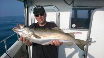 8 lb Pollock by Anthony Parry