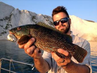 4 lb 4 oz Ballan Wrasse by Damian Lawrence