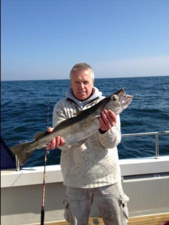 7 lb 8 oz Pollock by Graham