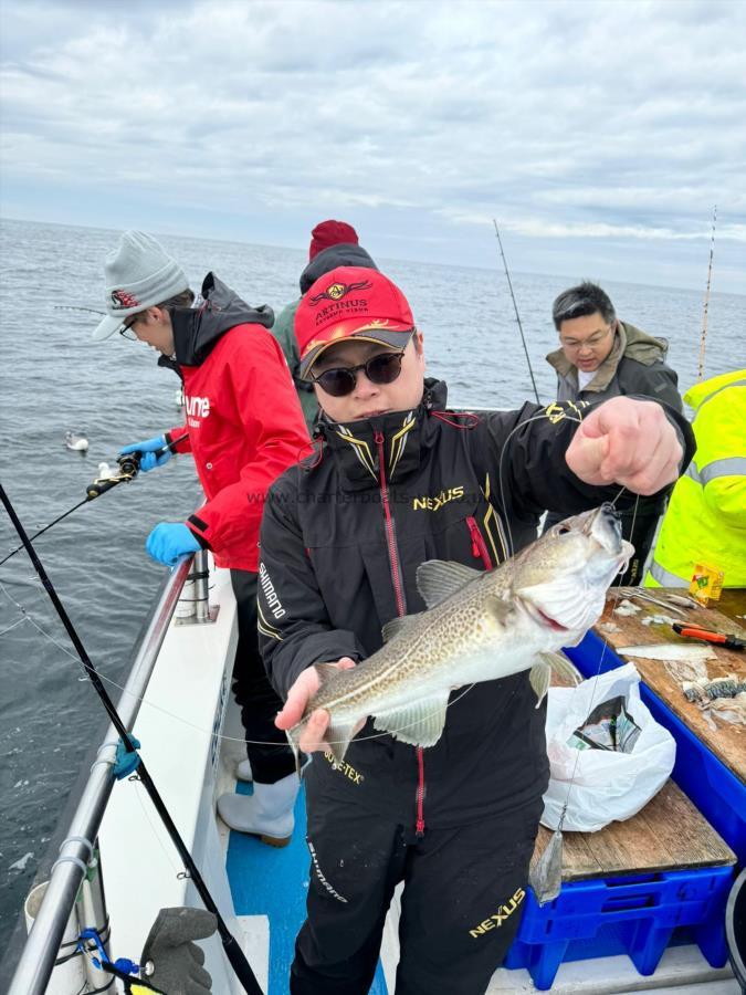 3 lb 5 oz Cod by Unknown