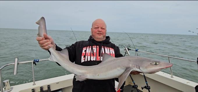 14 lb Starry Smooth-hound by Gustaw