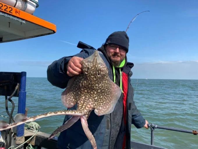 6 lb Thornback Ray by Unknown