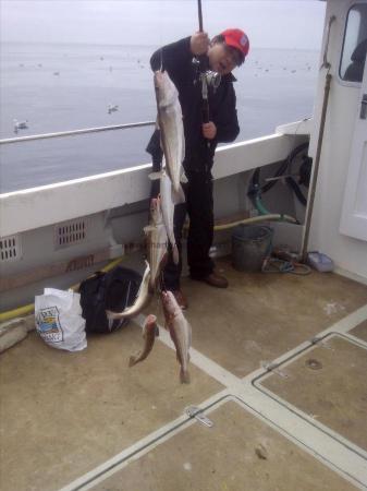 2 lb Whiting by one on every hook