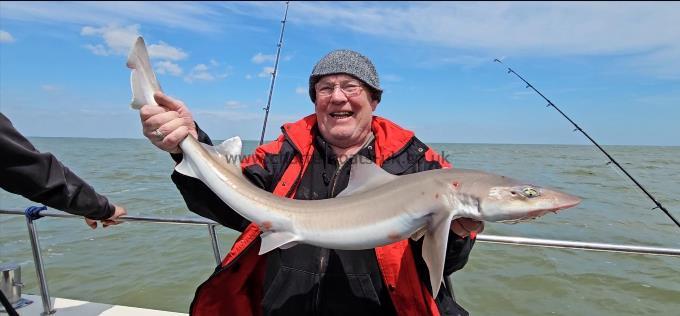 10 lb 1 oz Smooth-hound by Alan