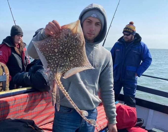 5 lb Thornback Ray by Unknown