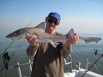 10 lb 2 oz Starry Smooth-hound by Brian