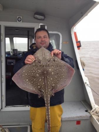 14 lb Thornback Ray by Skipper's fish!