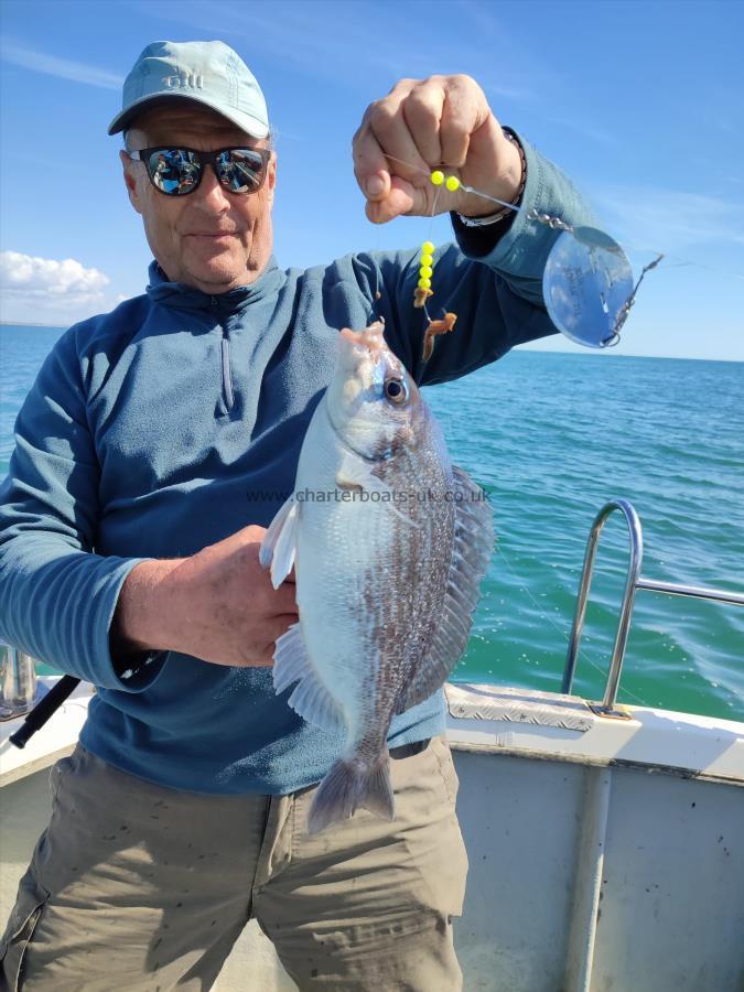 2 lb 8 oz Black Sea Bream by Peter