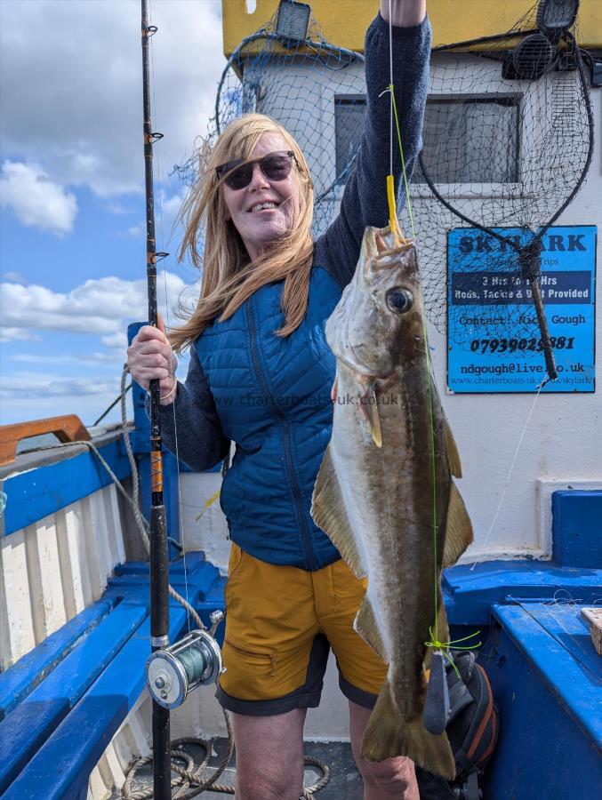 6 lb 2 oz Pollock by Unknown