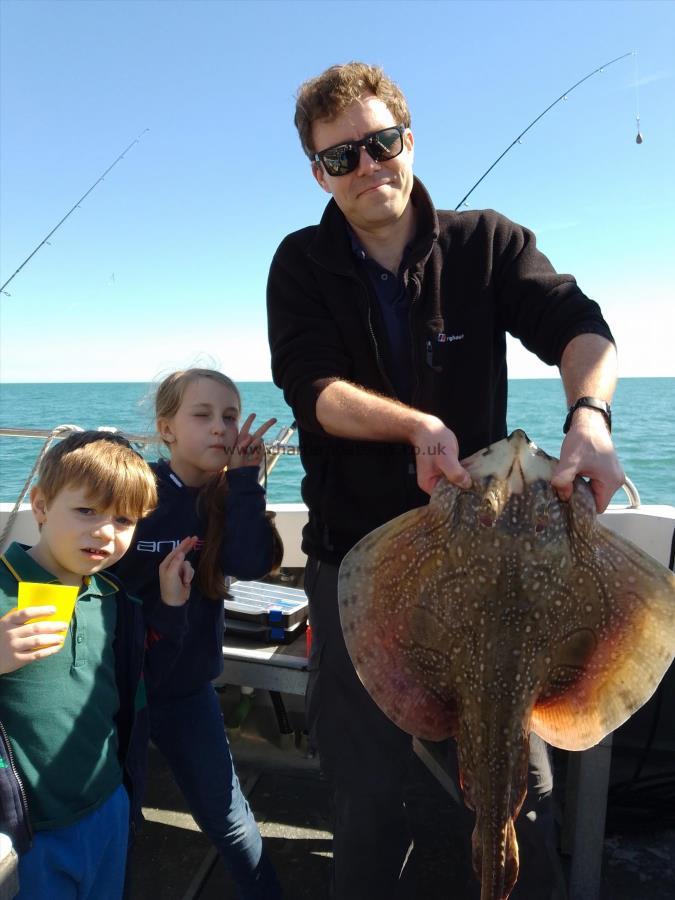 1 lb Undulate Ray by Unknown