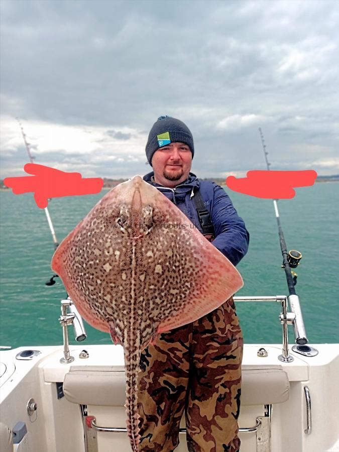 12 lb Thornback Ray by Unknown