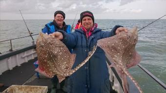 7 lb 2 oz Thornback Ray by Wayne from Ramsgate