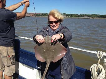 7 lb Thornback Ray by Unknown