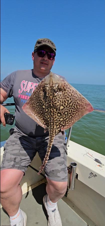 5 lb Thornback Ray by Marius