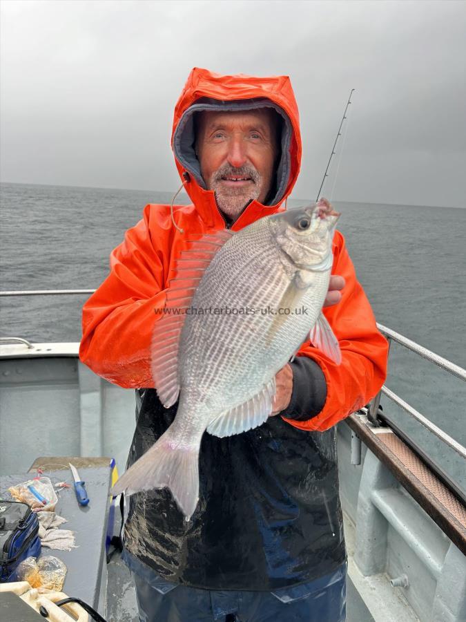 2 lb 9 oz Black Sea Bream by mike