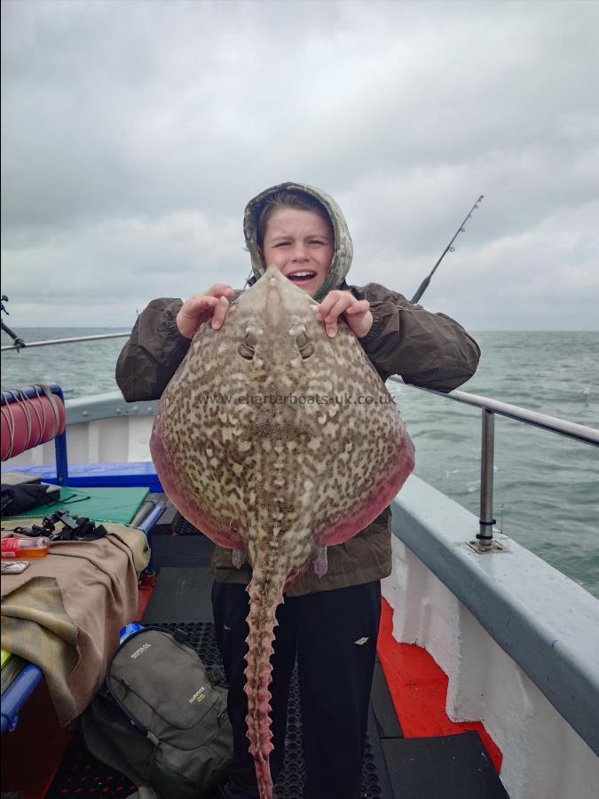 12 lb Thornback Ray by Lewis