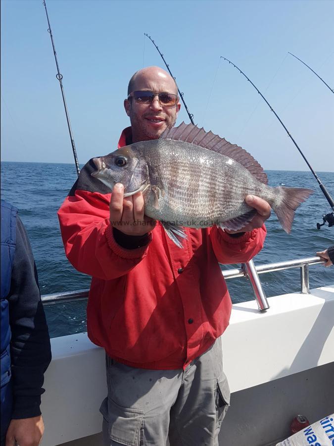 4 lb 2 oz Black Sea Bream by Unknown