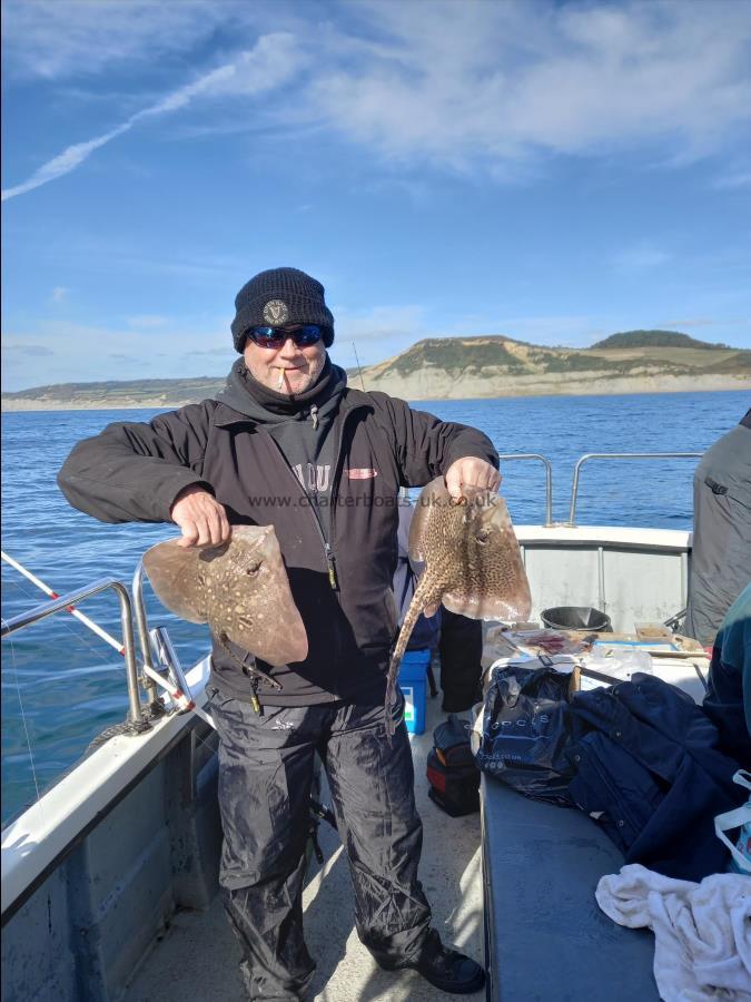 3 lb Thornback Ray by Unknown