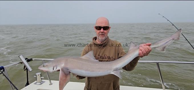 13 lb 2 oz Smooth-hound (Common) by Gary