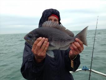 3 lb 5 oz Black Sea Bream by Unknown