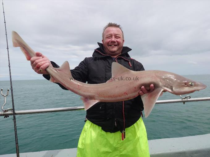 12 lb Starry Smooth-hound by Kevin