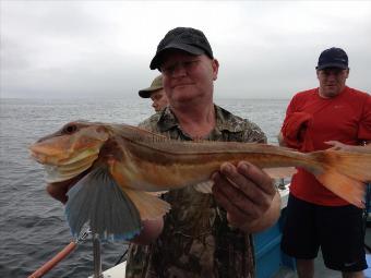 3 lb 6 oz Tub Gurnard by John Blair