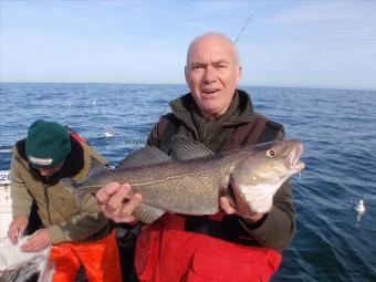 5 lb Cod by David Laine.