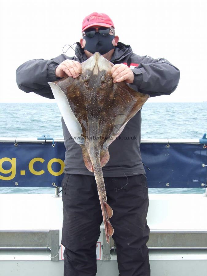 12 lb Undulate Ray by Stephan Attwood