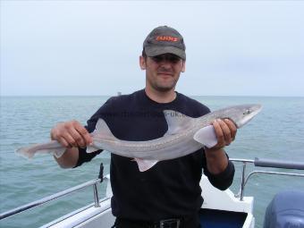 6 lb Starry Smooth-hound by Jimmy