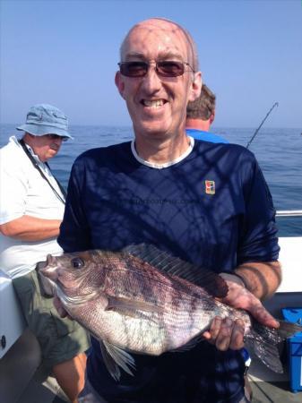 3 lb 13 oz Black Sea Bream by Steve Donne